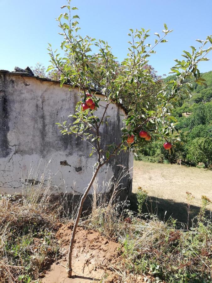 Hébergement de vacances Casa Do Rebelhe
